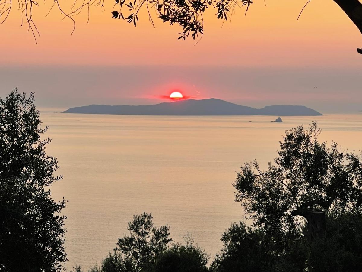 Arillas Hillside Villa 3 - Provence Eksteriør billede